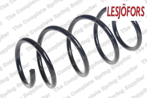 Front suspension spring - front,