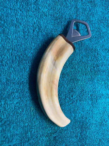 Vintage boars tusk - tusk, handle