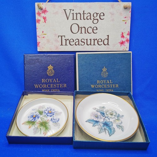 Royal worcester boxed pin - worcester,
