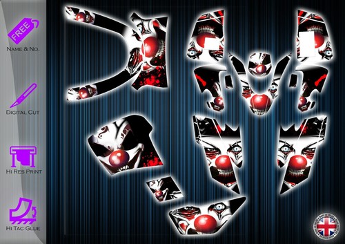 Quadzilla 250e stickers - 250e,