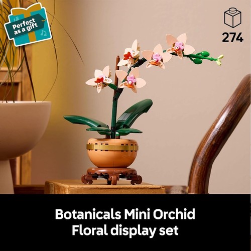 Botanicals mini orchid - botanicals,