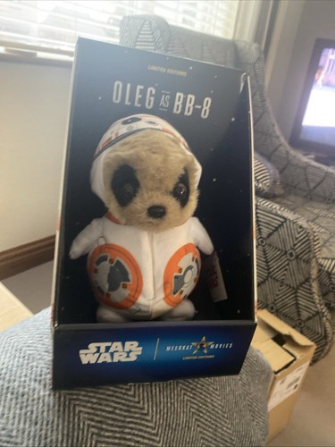 Meerkat oleg baby 8 - meerkat,