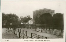 Norwich Cattle Market & Castle