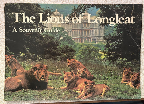 Lions longleat a - lions, rare