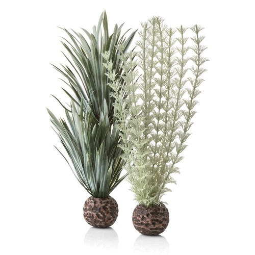 Biorb ambulia grey green - biorb, grey/green