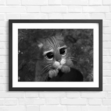 Big eyes orange - eyes,