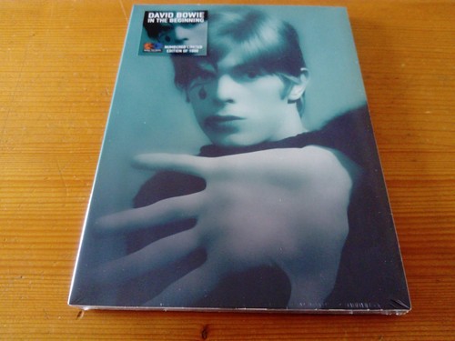 David bowie the - david, beginning
