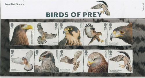 Birds prey presentation - of,