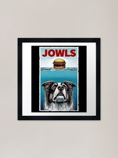Funny Border Collie and