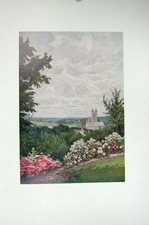 Original Old Antique Print