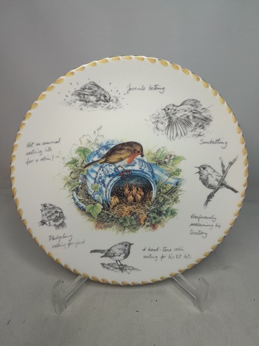 Your choice plates - your,