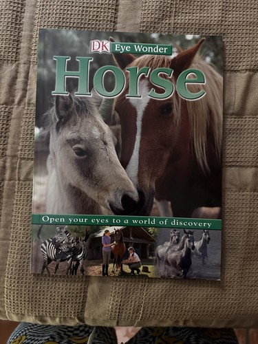 Eye wonder horse - eye, wonder: