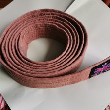 Martial Arts Judo Karate Jiu Jitsu Kickboxing Grading Belt Brown  Size 280cm