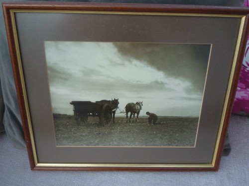 Vintage frank sutcliffe - vintage,