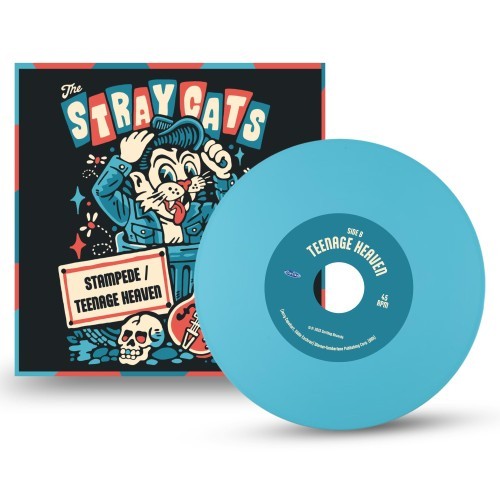 Presale stray cats - *presale*,