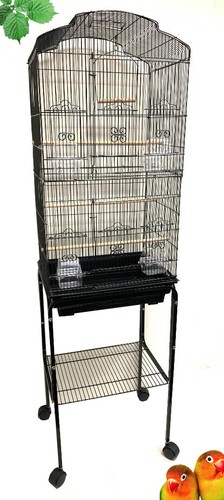 Large canary parakeet - 64",