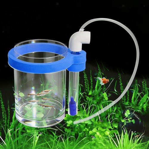Aquarium fish breeding - breeding, box