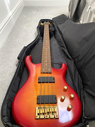 Jay turser string electric - 4-string,