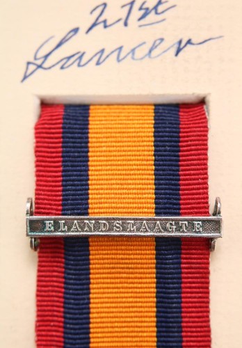 Qsa queens south - qsa, africa