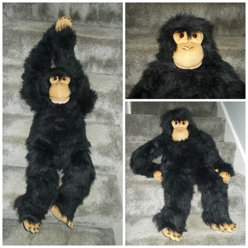 Very large 80cm - very,