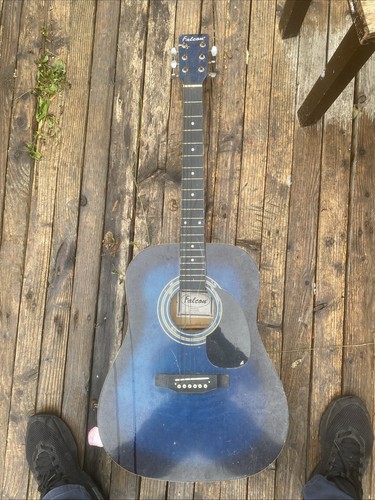 Falcon fg100sb acoustic guitar - falcon,