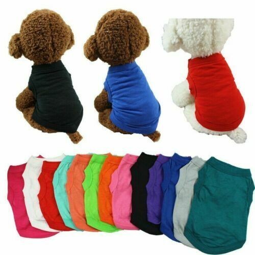 Vest clothes plain - plain, cat