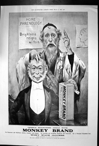 Old antique print monkey - old, brand