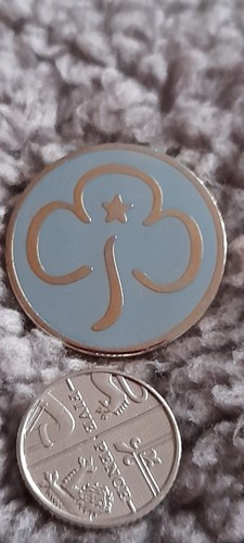 Girl guides promise badge - guides, pale