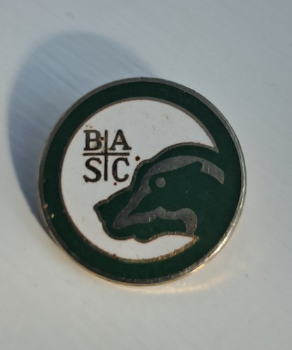 Vintage basc pin badge - vintage,