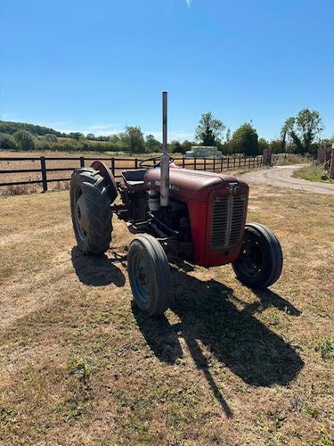 Vintage massey ferguson - vintage,