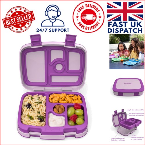 Vibrant purple compartment - purple, 5-compartment