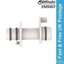 Whale Carver Crystal 2