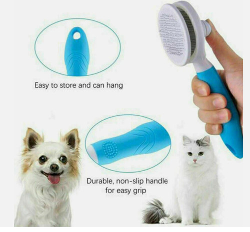 Pet dog cat - pet, hair