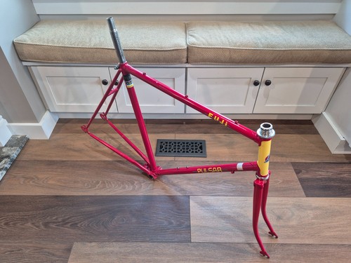 Vintage fuji pulsar road - pulsar, frame