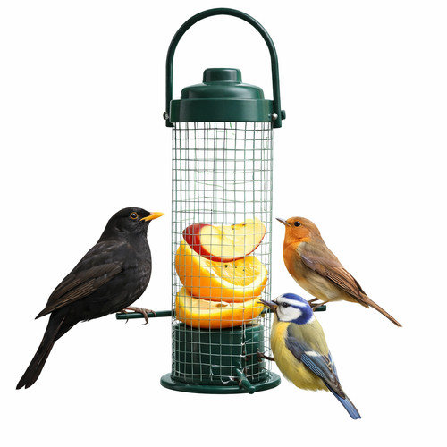 Hanging wild bird feeder - bird,