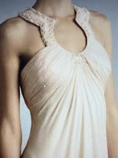 Champagne Anoushka G Dress With Horseshoe Neckline size 12