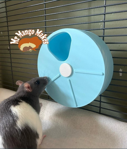 Rat foraging wheel - wheel,,