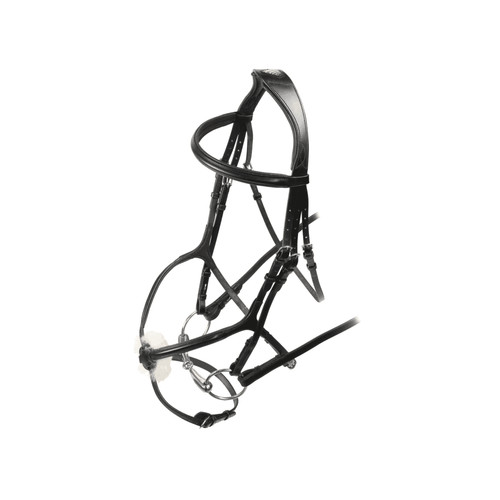 Shires velociti grackle horse - shires,