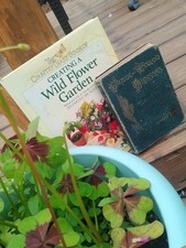 Wayside and Blossoms by Edward