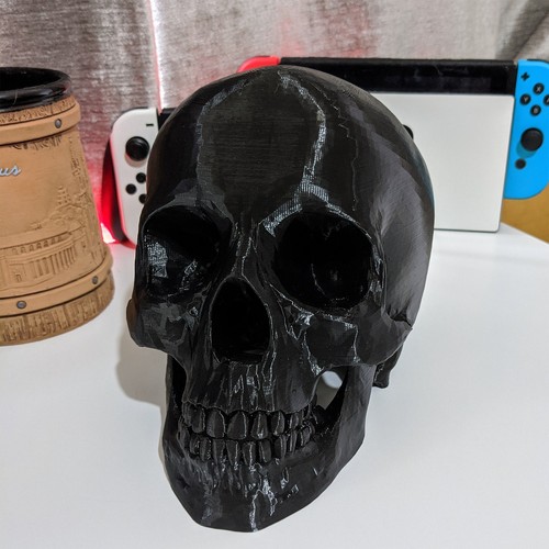 Printed human skull - printed, replica