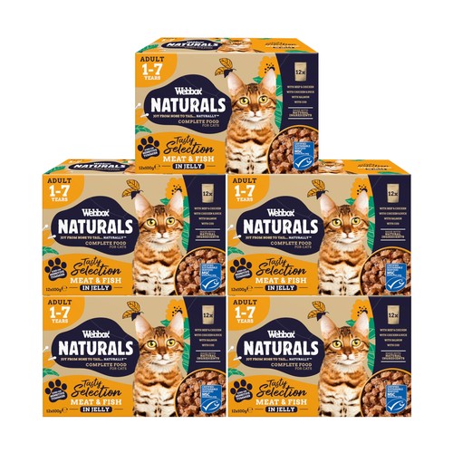 Complete adult wet cat food - adult,