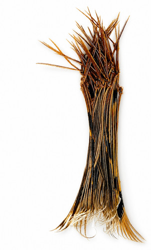 Knotted pheasant tail legs - ,