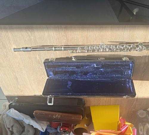 Concert flute case - concert,