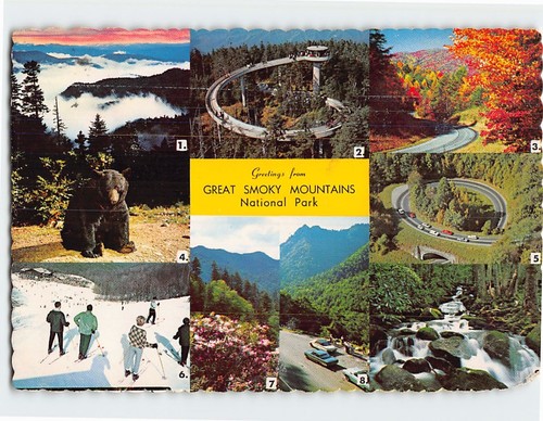 Postcard scenes and - scenes, in