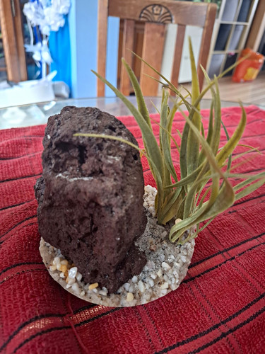 Aquarium synthetic rock - aquarium,