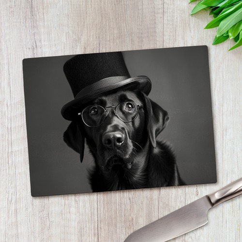 Black labrador dog - labrador, glasses
