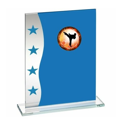 Karate glass trophy award - karate,