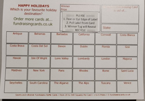 Holiday fundraising cards - holiday,