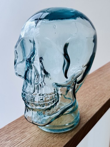 Recycled glass skull - glass,
