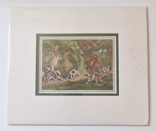 Howitt stag hunting - hunting, with